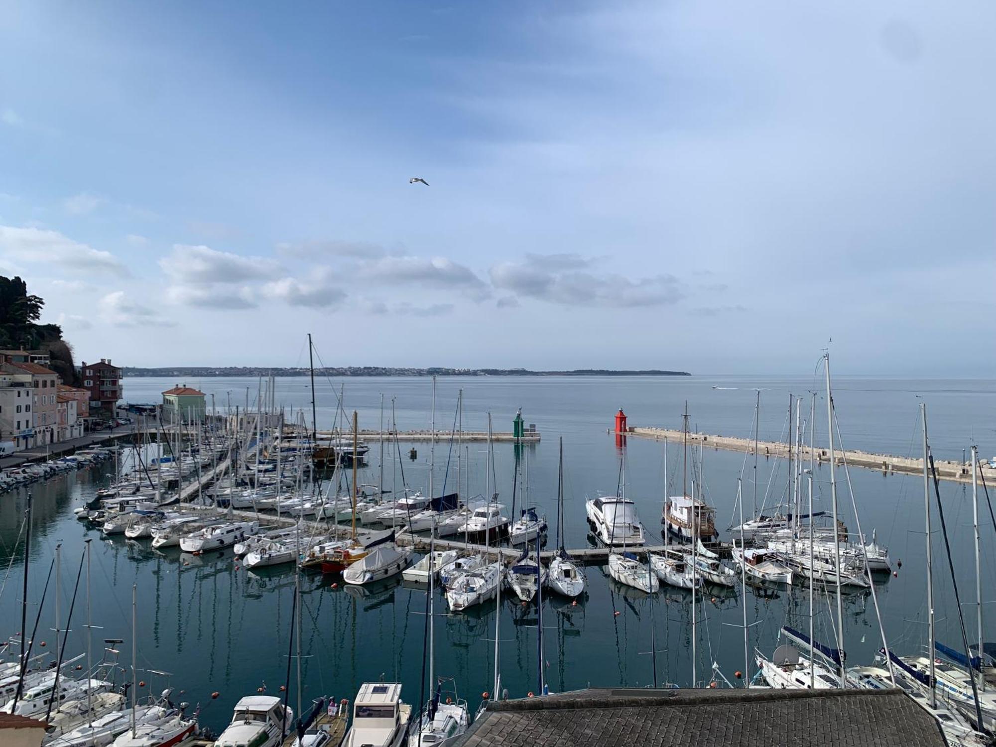 Urban * Piran